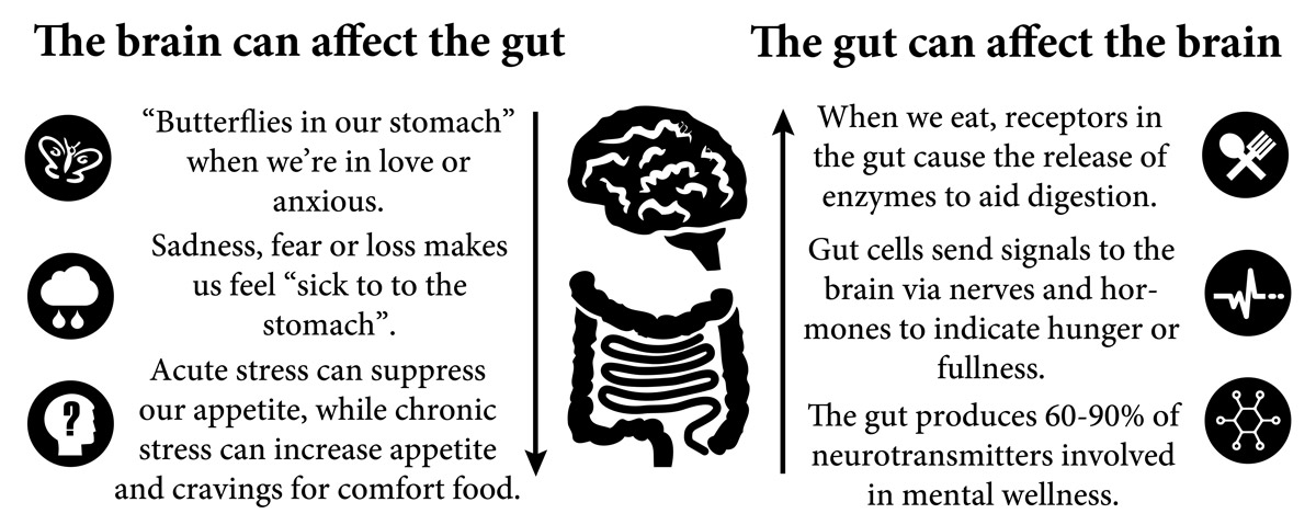 infographic showing the brin gut connection