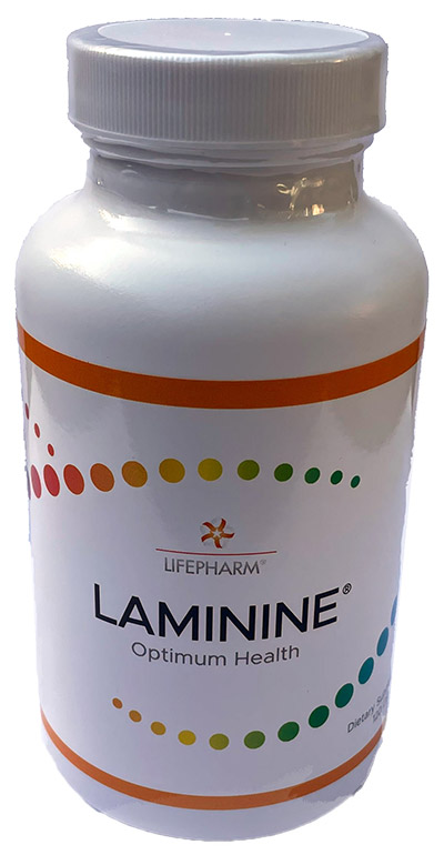 immunocalLaminine